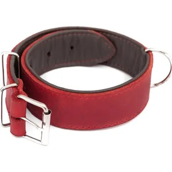 Obojek pro psa Kožený obojek R1 červený