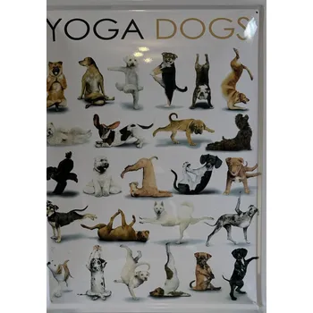 Plechová cedule Plechová cedule Yoga dogs