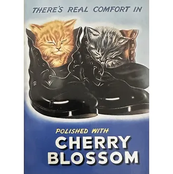 Dekorativní magnet Magnet na ledničku Cherry Blossom Koťátka