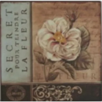 Plechová cedule Plechová retro cedule Secret La Fleur - květiny