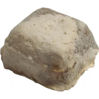 Hubení hlodavce Myco nosič