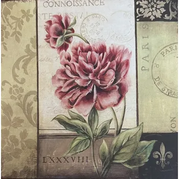 Plechová cedule Plechová retro cedule Connoisssaice Pivoňka