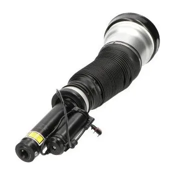 Vzduchová vzpěra KAVO PARTS SAS-10013