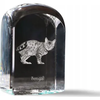 Obraz Bengálská kočka - fotografie v křišťálu, suvenýr, trofej, těžítko na papír