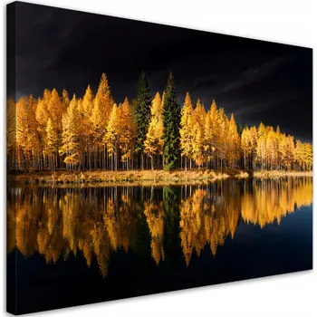 Obraz Obraz na plátně, Krajina Les Příroda Zlatá 90x60