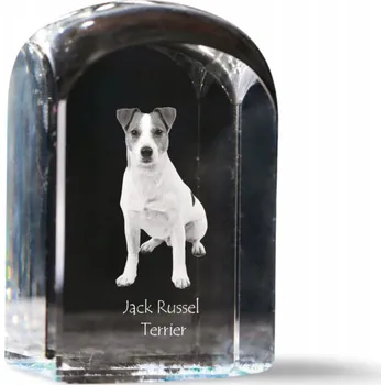 Obraz Jack Russell Terrier fotografie v křišťálu, památka, těžítko na papír