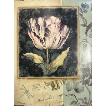 Plechová cedule Plechová retro cedule Carte postale Tulipán