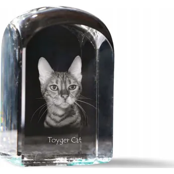 Obraz Kočka toyger - fotografie v křišťálu, suvenýr, trofej, těžítko na papír