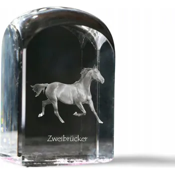 Obraz Kůň Zweibrücker - fotografie v křišťálu, suvenýr, trofej, těžítko na papír