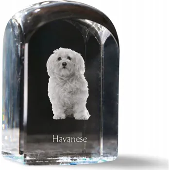Obraz Havanéz - fotografie v křišťálu, památka, trofej, těžítko na papír