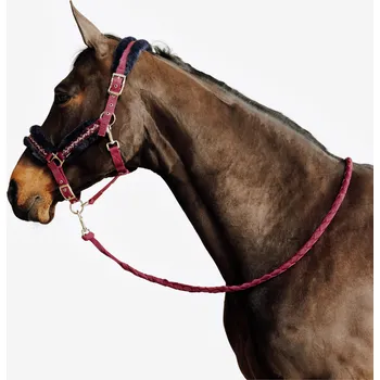 FOUGANZA Sada ohlávky a vodítka Comfort pro koně a poníky FS BÍLÁ|FIALOVÁ