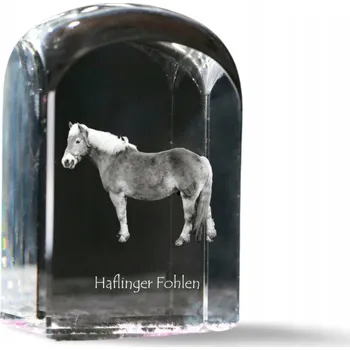 Obraz Kůň Hafling v křišťálu - fotografie, památka, trofej, těžítko na papír