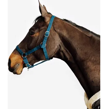 Vybavení pro koně FOUGANZA Ohlávka pro koně a poníky Schooling FS MODRÁ|ZELENÁ