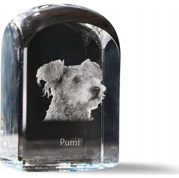 Obraz Pumi foto v křišťálu, památka, trofej, těžítko na papír