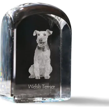 Obraz Welsh Terrier - fotografie v křišťálu, památka, trofej, těžítko na papír