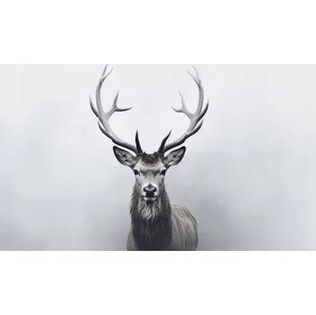 Obraz Foto obraz na plátně - Jelen na bílém pozadí - P/4030/1030