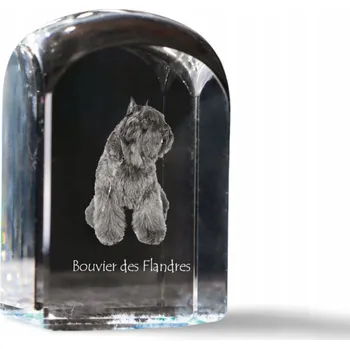 Obraz Bouvier v křišťálu, fotografie, památka, trofej, těžítko na papír