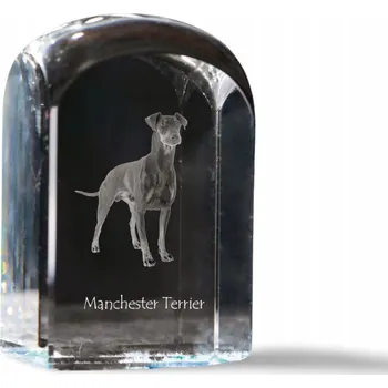 Obraz Manchester Terrier - fotografie v křišťálu, suvenýr, těžítko na papír