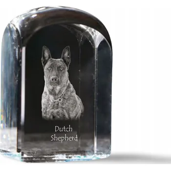 Obraz Holandský ovčák - fotografie v křišťálu, suvenýr, těžítko na papír