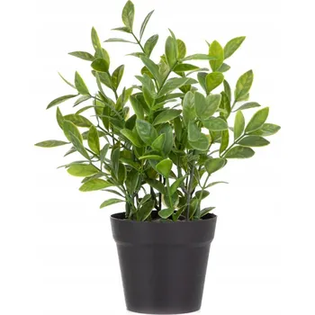 umělá květina UMĚLÁ ROSTLINA V KVĚTINÁČI ZAMIOCULCAS ESSENTIALS ZAMIOCULCAS 23 cm HOMLA