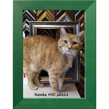 Obraz Klasický rámeček na fotografie na zeď i na postavení 15x21 dřevěný zelený