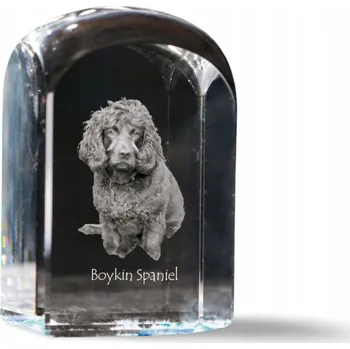 Obraz Boykin španěl - fotografie v křišťálu, památka, trofej, těžítko na papír