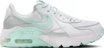 NIKE Air Max Excee FZ3769-100