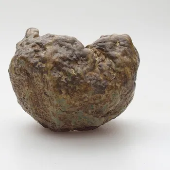 Květináč Keramická Skořápka 6 x 5 x 6 cm zelenohnědá