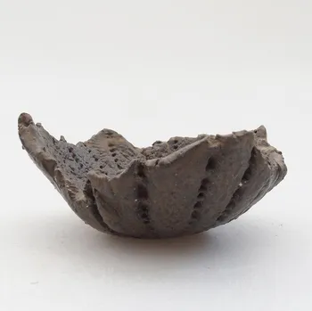 Květináč Keramická Skořápka 8 x 7,5 x 4 cm hnědá