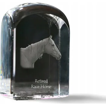 Obraz Kůň – vysloužilý dostihový kůň, fotografie v křišťálu, suvenýr, těžítko na papír