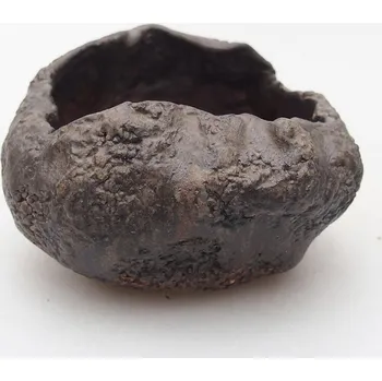 Květináč Keramická Skořápka 7,5 x 6,5 x 5,5 cm hnědá