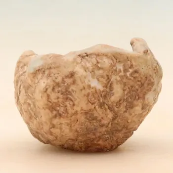 Květináč Keramická Skořápka 5 x 5 x 8 cm béžová