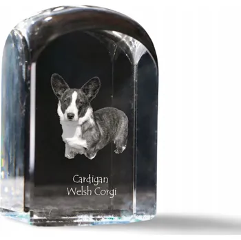Obraz Welsh Corgi Cardigan fotografie v křišťálu, památka, těžítko na papír