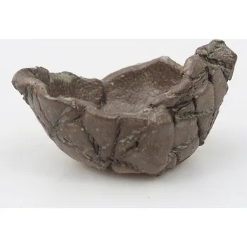 Květináč Keramická Skořápka 9 x 8 x 5,5 cm hnědá