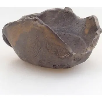 Květináč Keramická Skořápka 7,5 x 7 x 5 cm hnědá