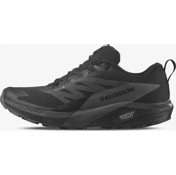 Pánské tenisky Salomon Sense Ride 5 GTX EUR 44