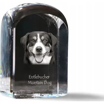 Obraz Entlebušský salašnický pes - fotografie v křišťálu, suvenýr, trofej, těžítko