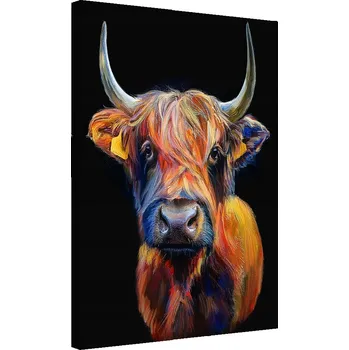 Obraz Obraz na plátně, Skotská kráva zvířata 40x60