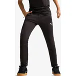 Puma EVOSTRIPE Pants DK S