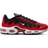 Pánské tenisky NIKE Air Max Plus FV0950-600 39