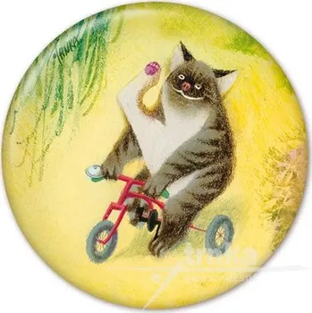 Dekorativní magnet Magnet - Kocour na tříkolce