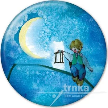 Dekorativní magnet Magnet - Brouček na stéble trávy