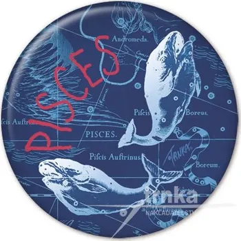 Dekorativní magnet Magnet Ryby - Pisces
