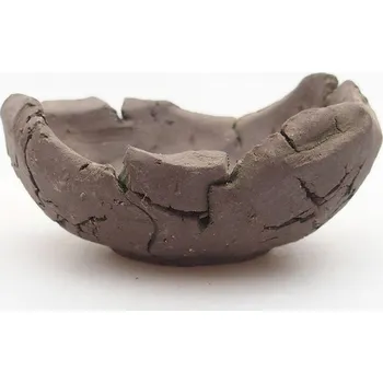 Květináč Keramická Skořápka 9 x 9 x 4,5 cm zelená