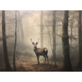 Obraz Foto obraz na plátně - Jelen v lese - P/4030/1006