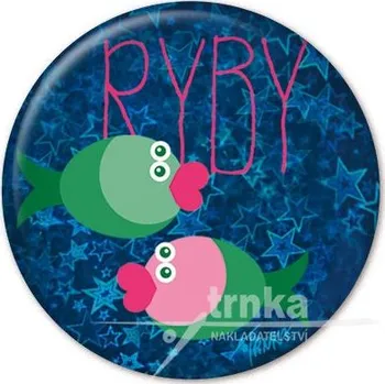 Dekorativní magnet Magnet - Ryby