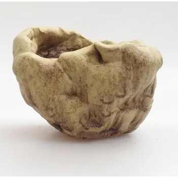 Květináč Keramická Skořápka 5 x 5 x 5 cm zelená