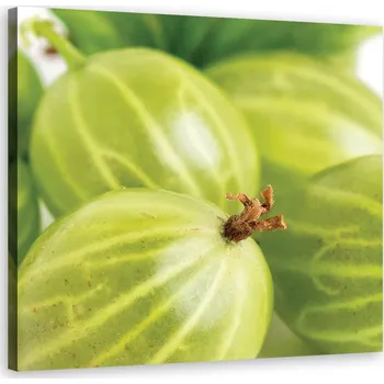 Obraz Obraz na plátně, Angrešt makro - 30x30