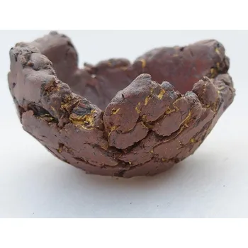 Květináč Keramická Skořápka 6 x 6 x 4 cm žlutá