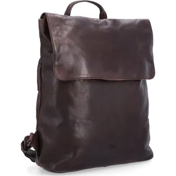 Městský batoh Městský batoh Na zádech Noelia Bolger hnědá NB 2014 H